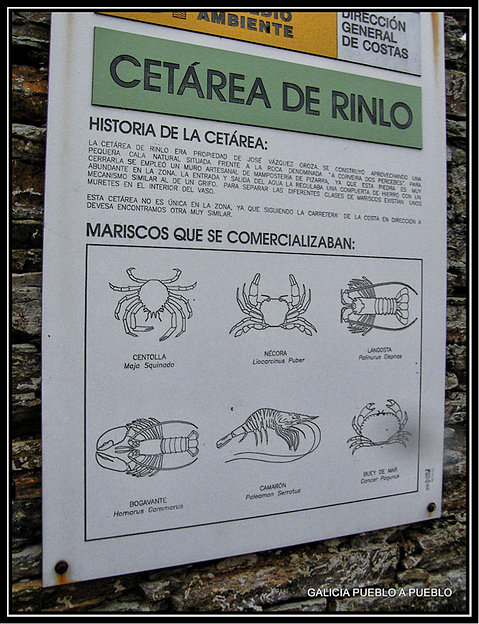 Information poster of the seafood that was produced in the cetareans.